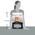 Pro Plan Cat Senior Longevis losos 3 kg - Akční nabídka