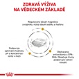 Royal Canin VD Dog Dry Urinary S/O Ageing 8 kg - Granule pro psy