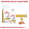 Royal Canin VD Dog Dry Urinary S/O Ageing 8 kg - Granule pro psy