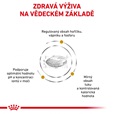Royal Canin VD Dog Dry Urinary S/O Moderate Calorie 6,5 kg - Veterinární diety pro psy