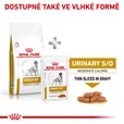 Royal Canin VD Dog Dry Urinary S/O Moderate Calorie 6,5 kg - Veterinární diety pro psy