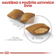 Royal Canin - Canine Mini Exigent 3 kg - Granule pro psy
