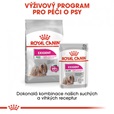 Royal Canin - Canine Mini Exigent 3 kg - Granule pro psy