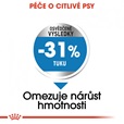 Royal Canin - Canine Mini Light Weight Care 3 kg - Granule pro psy