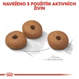 Royal Canin - Canine Mini Light Weight Care 3 kg - Granule pro psy