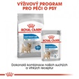 Royal Canin - Canine Mini Light Weight Care 3 kg - Granule pro psy