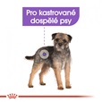 Royal Canin Canine Mini Sterilised 3 kg - Granule pro psy