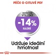 Royal Canin Canine Mini Sterilised 3 kg - Granule pro psy