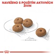 Royal Canin Canine Mini Sterilised 3 kg - Granule pro psy