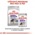 Royal Canin Canine Mini Sterilised 3 kg - Granule pro psy