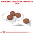 Royal Canin - Canine Mini Digestive Care 3 kg - Granule pro psy