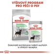 Royal Canin - Canine Mini Digestive Care 3 kg - Granule pro psy