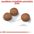 Royal Canin - Canine Medium Digestive Care 3 kg - Granule pro psy