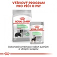 Royal Canin - Canine Medium Digestive Care 3 kg - Granule pro psy