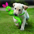 KONG Wubba Friends Ballistic L mix - Letní tipy