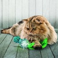 KONG Wubba Wicker mix - Hračky pro kočky, catnip