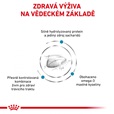 Royal Canin VD Cat Dry Hypoallergenic 0,4 kg - Granule pro kočky, krmivo pro kočky
