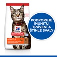 Hill's Science Plan Feline Adult Lamb & Rice 10 kg - Akční nabídka