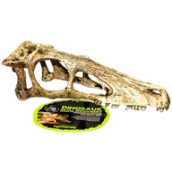 Komodo lebka Raptor L - Výprodej