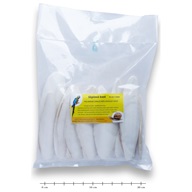 Sépiová kost broušená volná 15cm, 15ks - Výprodej