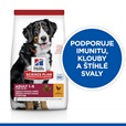 Hill's Science Plan Canine Adult Large Breed Chicken 14 kg - Granule pro psy