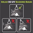 Komodo Basking Bulb Solar D3 UV All-in-One žárovka 80 W - Technika