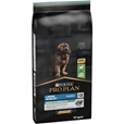 Pro Plan Large Puppy Robust Sensitive Digestion jehněčí 12 kg - Akční nabídka