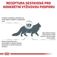 Royal Canin VD Cat Dry Skin& Coat 3,5 kg - Veterinární diety pro kočky