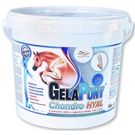 Gelapony Chondro Hyal 1,8kg - Doplňky výživy pro koně