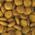 Specific CCD Struvite Management 7kg - Granule pro psy