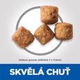 Hill's Science Plan Canine Mature Adult 6+ Senior Vitality Large Chicken 14 kg - Granule pro psy