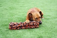 Happy Pet Extreme Log - Hračky pro psy
