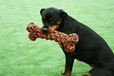 Happy Pet Extreme Bone - Hračky pro psy