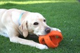 Happy Pet Grubber Interactive Football - Hračky pro psy