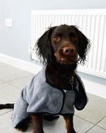 Happy Pet Groom župan L - Úprava srsti a drápků