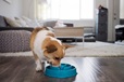 Outward Hound miska Fun Feeder tyrkysová S - Misky a příslušenství