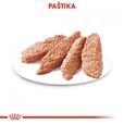 Royal Canin - Canine kaps. Exigent 85 g - Konzervy pro psy