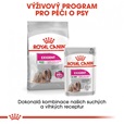 Royal Canin - Canine kaps. Exigent 85 g - Konzervy pro psy