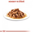 Royal Canin - Canine kaps. Mini Puppy 85 g - Konzervy pro psy