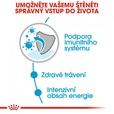 Royal Canin - Canine kaps. Mini Puppy 85 g - Konzervy pro psy