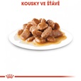 Royal Canin - Canine kaps. Mini Adult 85 g - Konzervy pro psy