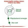 Royal Canin - Canine kaps. Mini Adult 85 g - Konzervy pro psy
