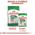 Royal Canin - Canine kaps. Mini Adult 85 g - Konzervy pro psy