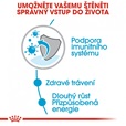 Royal Canin - Canine kaps. Maxi Puppy 140 g - Konzervy pro psy