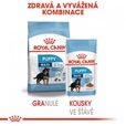 Royal Canin - Canine kaps. Maxi Puppy 140 g - Konzervy pro psy