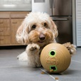 KONG Bamboo Feeder Ball M - Hračky pro psy