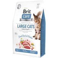 Brit Care Cat Grain-Free Large Cats Power & Vitality 2 kg - Granule pro kočky, krmivo pro kočky