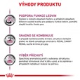 Royal Canin VD Dog kaps. Renal 12 x 100 g - Konzervy pro psy