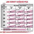Royal Canin VD Dog kaps. Renal 12 x 100 g - Konzervy pro psy