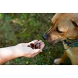 Geloren Dog L - XL  60 tbl - Doplňky výživy, zubní péče